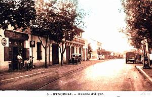 STAOUELI - AVENUE D'ALGER